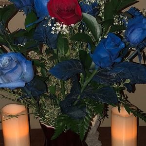 Meet your Posher, Phyllis